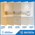 OHLECTRIC F4T5/D Linear Fluorescent Tube 6-Inch (4-Pack) T5 4W Straight Bulbs Daylight Camping Lantern Bulb Linear Bulbs, High Output Under Cabinet Bulb, G5 Base 6500K