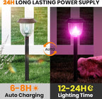 AOSEA 2 Pack Solar Pathway Lights Outdoor Waterproof - Auto RGB Color Changing Solar Lights, IP65, 12H Bright, Durable Plastic - Perfect for Garden & Walkway【RGB Flash Mode Only】