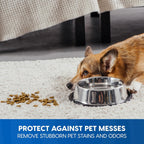 Vacmaster CCS03 Carpet Cleaner Shampoo Solution, 64 oz Spot & Stain Formula for All Carpets, Upholstery & Area Rugs