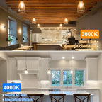 Vintage LED Edison Bulbs 60 Watt Equivalent Dimmable 7W ST58 LED Filament Light Bulbs Warm White 3000K Antique Style Lighting High Brightness 800LM E26 Medium Base Clear Glass for Home Office, 12 Pack