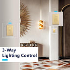 LIDER Dimmer Paddle Switch for Dimmable 300W LED/CFL Lights, 1-Pole or 3-Way, 120 V, Modern Upgrade, UL Listed, Screwless Wall Plate Included, Gold