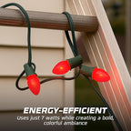 OHLECTRIC Night Light Bulbs (24 Pack – Red), 7 Watt Mini Bulbs – E12 Candelabra Base, Non-Dimmable, 120 Volts – C7 Night Light Lamp Replacement Bulb for Salt Lamps, Window Candles, Holiday Decor