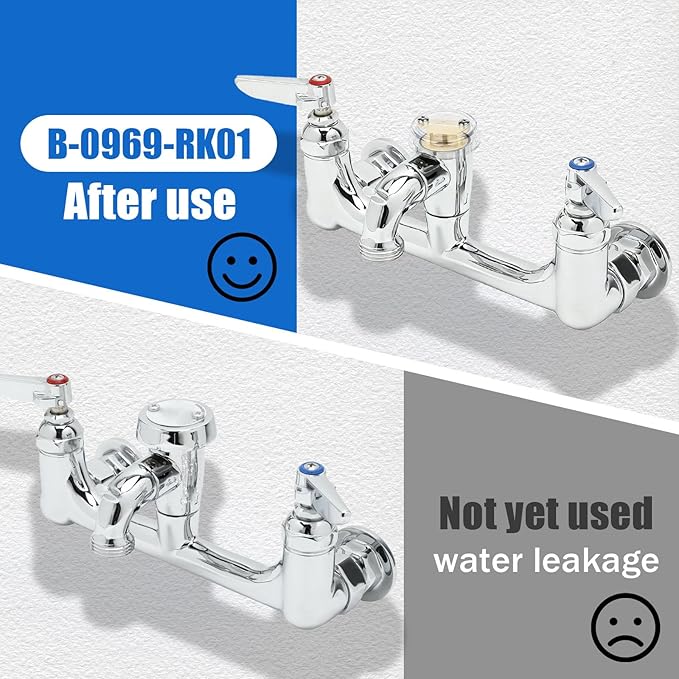 B-0969-RK01 Vacuum Breaker Repair kit for t&s WATTS LF288A 288A Faucet - 2 PK