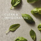 Thymes Countertop Spray - Counter Cleaner Spray - Household Cleaning Supplies (Fresh-Cut Basil, 16.5 fl oz)