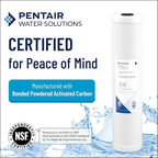 Pentair Pentek CBC-20 Carbon Water Filter, 20-Inch, Whole House Carbon Block Replacement Cartridge with Bonded Powdered Activated Carbon (PAC) Filter, 20" x 2.5", 0.5 Micron