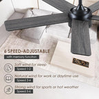 46" Black Ceiling Fans with Lights - Low Profile Ceiling Fan with Lights and Remote/APP, 5 Dual-Sided Blades, Reversible DC Motor, Modern Ceiling Fan for Indoor and Outdoor Use