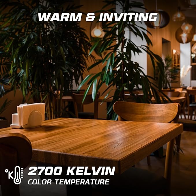 OHLECTRIC A19 LED Light Bulb (2-Pack) 8 Watt (60W Equivalent) E26 Medium Base, Dimmable, 800 Lumens, 2700K, Soft White, 120 Volt, Clear Light Bulbs, Long Life 15,000 Hours, Flicker-Free Bulbs LED