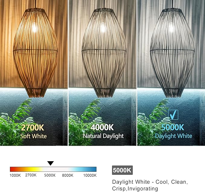 4 PCS ST58 (ST19) LED Edison Bulbs, Dimmable Vintage Antique LED Filament Light Bulbs, 6W Equivalent 60 Watt, Daylight 5000K, 600 Lumens, E26 Base, Clear Plastic