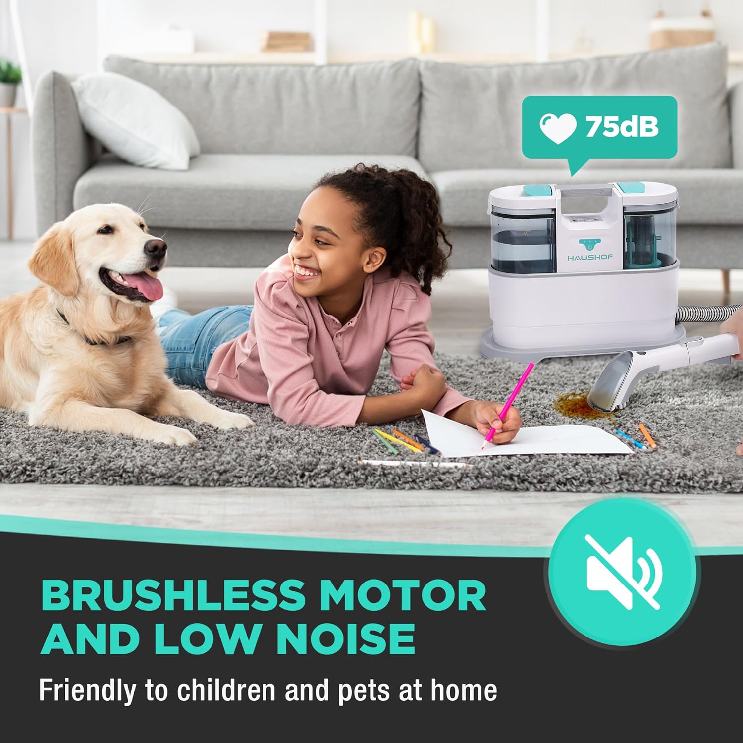 HAUSHOF Cordless Carpet & Upholstery Cleaner, Lightweight Deep Fabric Cleaner Machine with Brushless Motor & Powerful Suction for Pet Stains, Couch, Rug, Car Seats, Spot & Stain Cleaner Included