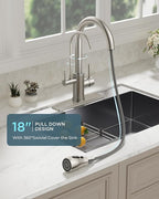 FORIOUS Kitchen Faucets with Water Filter, 2 in 1 Stainless Steel Pull Down Sink Faucet and Purfied Water Faucet High Arc Single Handle with Detachable Deck for 1 or 3 Hole, Brushed Nickel
