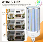 2 Pack 300W Corn LED Light Bulb Fanless,5000K Daylight(3000 Watt Equivalent) E26/E39 Large Mogul Base LED Cob Lamp 44,000LM for Outdoor Indoor Garage Warehouse Factory Workshop Street Backyard