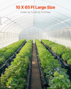 VEVOR 10 Mil Plastic Sheeting Heavy Duty 10' x 65', Thick Plastic Sheeting Roll, Plastic Drop Cloth Painters Tarp Covering for Crawl Space Vapor Barrier, Black and White Double-Sided, Multi-Purpose