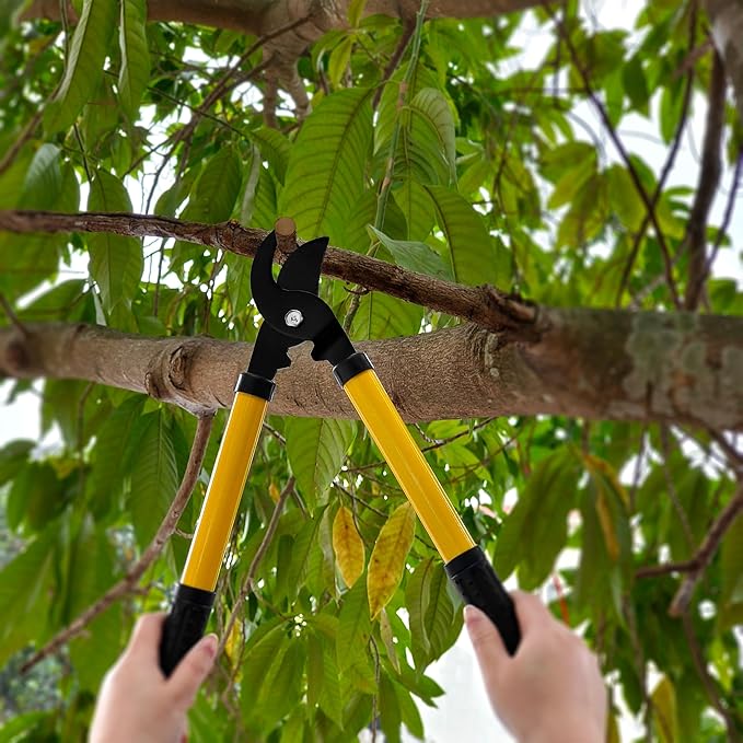 41-Piece Premium Gardening Tool Set, Stainless Steel Heavy Duty Gardening Tool Kit, with Non-Slip Rubber Grip, Storage Tote Bag, Outdoor Hand Tools, Ideal Gardening Gifts for All (Green)