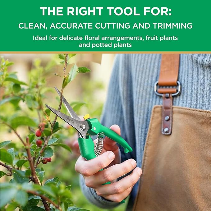 Miracle-Gro Straight Tip Floral Shears - Lightweight Gardening Scissors - Hand Pruner Pruning Shear for Flowers, Herbs, Roses and Indoor Plants