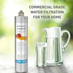 Pentair Everpure PBS-400 Drinking Water System, EV927085, Ideal for use in Prep Sink and Wet Bar, Includes Filter Head, Filter Cartridge, All Hardware and Connectors