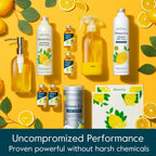 Grove Co. Multi-Purpose Cleaner, Refill Concentrate (6 x 1 Fl Oz) Plant-based Household Cleaning Supplies, Ammonia & Chlorine Free, No Plastic Waste, Lemon & Eucalyptus Scent, Total 3 x 2 Pack Refills