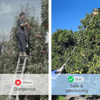 Walensee 8FT Fruit Picker, Adjustable Fruits Picker Tool with Lightweight Stainless Steel Pole and Big Basket, Fruit Catcher Equipment Tree Picker for Apples Mango Pear Orange Avocados Fruit Picking