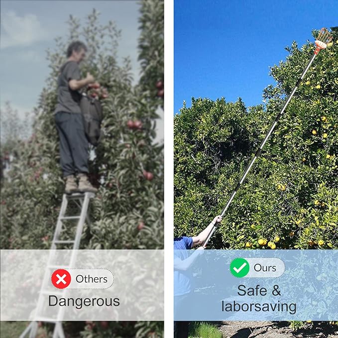 Walensee 13FT Fruit Picker, Adjustable Fruits Picker Tool with Lightweight Stainless Steel Pole and Big Basket, Fruit Catcher Equipment Tree Picker for Apples Mango Pear Orange Avocados Fruit Picking