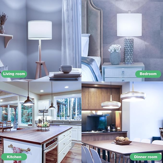 48 Pack A19 LED Bulbs 100W Equivalent, 13W Daylight 5000K LED Light Bulbs, E26 Medium Base, Non-Dimmable, 1500 Lumens, Ideal for Bedroom Living Room