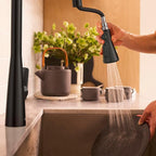 American Standard 1048812430 Aspirations Single-Hole Kitchen Sink Faucet with Pull-Down Sprayer, 1.8 GPM, Matte Black