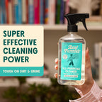 Aunt Fannie's All Purpose Household Cleaner, Multi-Surface Spray Cleaner, Powered by Vinegar for Kitchen, Bath, Windows and Countertops, Fragrance Free, Pack of 1