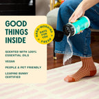 Aunt Fannie's Whole Home Cleaning Bundle: All Purpose Spray, Floor Cleaner, Glass & Window Cleaner, Multi-Surface Wipes, Carpet Refresher