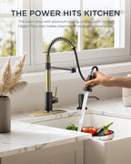 FORIOUS Kitchen Faucet with Pull Down Sprayer, Stainless Steel Commercial Single Handle Classic Spring Pull Out Sink Faucet for Pot Filler, Farmhouse Camper Bar Laundry Room, Black Gold
