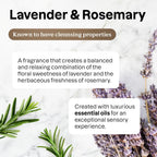 ATTITUDE Kitchen Cleaner Spray, Natural Origin Ingredients, EWG Verified, Cleans and Degreases, Streak-Less, Lavender & Rosemary, 26 Fl Oz (Pack of 3)