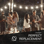 Jslinter 25Pack C7 LED String Light Bulbs Replacement, 5000K Daylight, W(11W Equivalent), 60LM, Shatterproof, E12 Screw Base, Vintage Edison Bulbs for Patio Garden