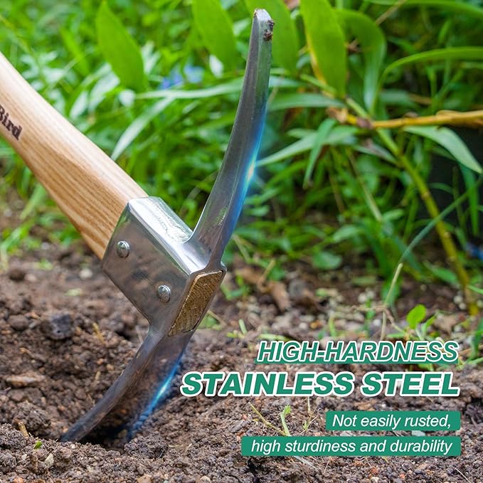 Berry&Bird Gardening Pick Axes, Stainless Steel Pickaxe Mattock Hoe with Wooden Handle, Heavy Duty Pick Axe Hand Tool for Transplanting Digging Planting Loosening Soil Camping or Prospecting