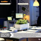 Sunlite 12-Inch F8T5/CW T5 Linear Fluorescent Lamp, 8 Watts, 350 Lumens, 4100K Cool White, Miniature G5 Bi-Pin Base, ROHS Compliant, High Performance Straight Tube, 10 Pack