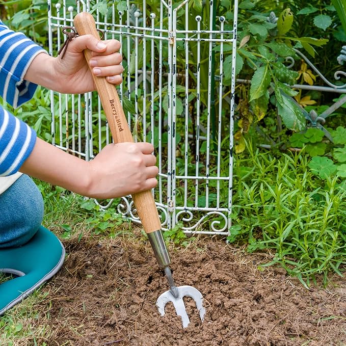Berry&Bird Gardening Hand Fork, 22.6 Inches Long Handled Stainless Steel Weed Fork, Traditional Garden Hand Fork Tool with Ergonomic Ash Wood Handle for Weeding, Digging, Planting and Cultivating