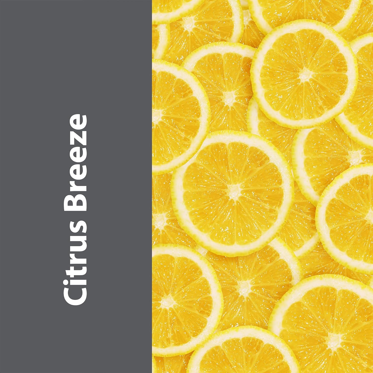 Pro-Grade Multi-Purpose Probiotic Enzyme Cleaner - Pet Stain and Odor Remover, Drain Cleaner - Powerful Cleaning & Odor Eliminating Formula For Professional & Home Surfaces - 1 Gallon