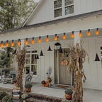 25 Pack C7 Halloween Replacement Bulbs, Ceramic Orange Christmas Light Bulbs for Indoor/Outdoor String Lights, E12/C7 Candelabra Base, 5W Incandescent Night Light Bulbs