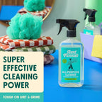 Aunt Fannie's All Purpose Household Cleaner, Multi-surface Spray, Powered by Vinegar for Kitchen, Bath, Windows and Countertops, Eucalyptus Scent (Pack of 3)