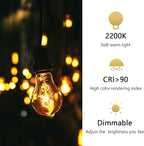 A19 Incandescent Light Bulbs 60 Watt,120v Edison Bulbs Dimmable 2200k Warm Yellow E26 Base, Antique Retro Style Incandescent Bulb, Amber Glass Squirrel Cage Filament Decorative Lamp, 6Pack