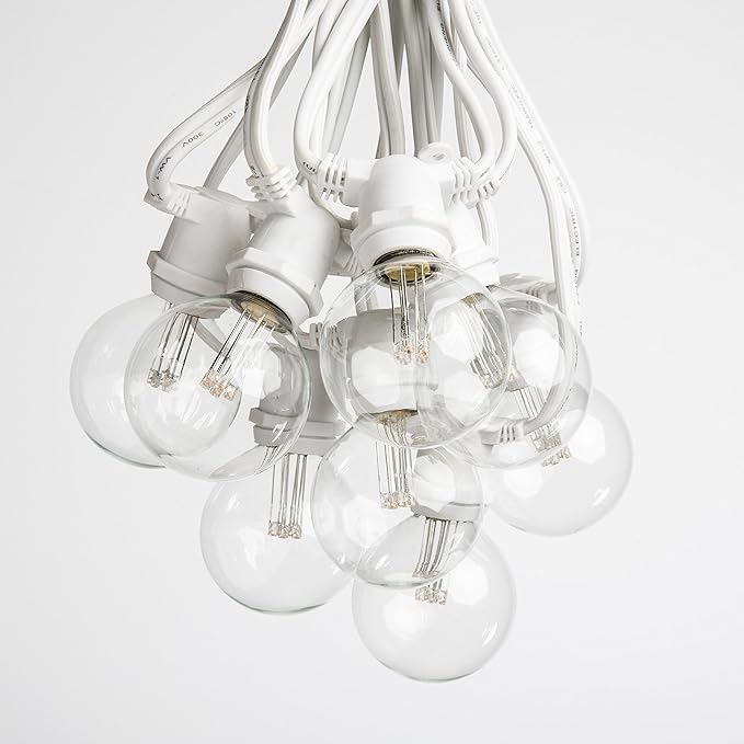 Hometown Evolution, Inc. 25 Foot C9 Commercial LED G50 Globe String Lights with 20 LED G50 Clear 2 Inch .6 Watt Bulbs and White Wire