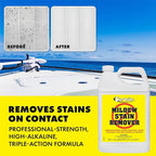 STAR BRITE Mold & Mildew Stain Remover + Cleaner – Removes Stains on Contact - 1 GAL (085600N)