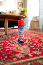 Sprayway Carpet Cleaner (Pet), 19oz | Removes Pet Stains & Odors, Foaming Action | Deep Cleans Carpets & Upholstery | Fresh Scent, Quick-Drying Formula