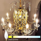 Potanro E12 Incandescent Light Bulbs 40Watt Warm White 2700K, 300 Lumens Candelabra Light Bulbs Decorative Dimmable Chandelier Bulbs for Ceiling Fan, Pendants (40W-20Pack)