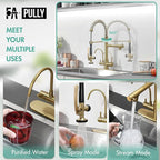 Fapully Brushed Gold Commercial Kitchen Faucet with Pull Down Sprayer and Water Filter,3 in 1 Kitchen Faucets with Drinking Water Faucet
