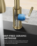 FORIOUS Gold Kitchen Faucet with Soap Dispenser, Single Handle Stainless Steel Transitional Sink Faucet with Pull Down Sprayer 1 or 3 Hole, Suitable for Farmhouse Laundry Camper RV Bar