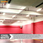 Sunlite F15T8/CW 18-Inch T8 Linear Fluorescent Lamp, 15 Watts, 610 Lumens, 4100K Cool White, Medium G13 Bi-Pin Base, ROHS Compliant, 30 Pack