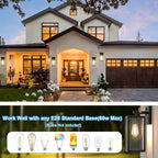 Dusk to Dawn Porch Outdoor Light, 2 Pack Wall Light Fixtures Waterproof Exterior Wall Sconce Light Fixture with E26 Base for Patio Entryway Hallway (Bulb not Included)