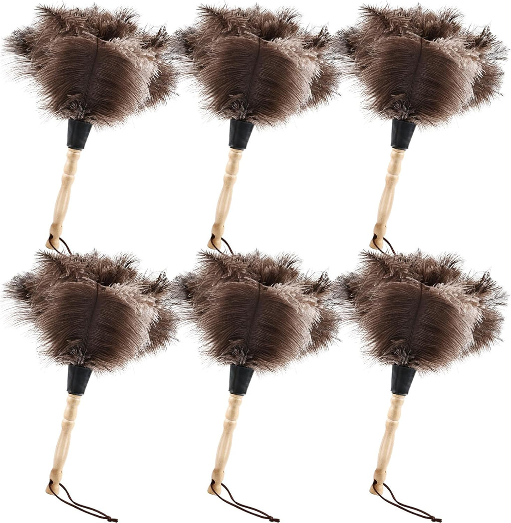 Ostrich Feather Duster 14" Natural Handheld Reusable Feathers Dusters with Wooden Handle for Cleaning Supplies Home Car Office(6PCS)