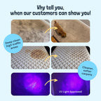 Sunny & Honey Carpet Cleaner Solution - 32 Fl Oz, Fresh Summer Scent - Rug Shampoo & Upholstery Cleaning Solution - Pet Odor Eliminator & Pet Stain Remover