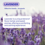 ATTITUDE All Purpose Cleaner Spray, EWG Verified, Vegan, Made with 94% Plant-Based Ingredients, Streak-Free for Kitchen, Bathroom, Glass & More, Lavender Scent, 27.1 Fl Oz