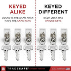 TRADESAFE Lockout Tagout Locks Set - 10 Silver Aluminum Loto Locks, Keyed Different Lock Out Tag Out Padlocks, 2 Keys Per Lockout Padlock, OSHA Compliant
