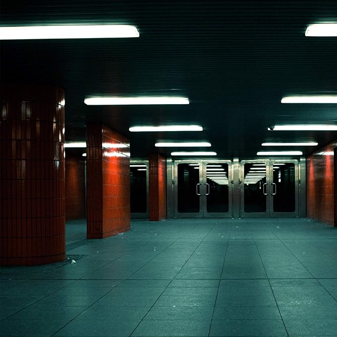 DYSMIO Lighting 15 Watt T8 Straight Tube, Medium Bi-Pin Base, 6500K - Daylight Pack of 8