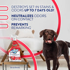 Resolve Pet Specialist Stain & Odor Remover Spray – Pet Stain and Odor Remover, Carpet Cleaner Solution for Dog and Cat Urine, 22Fl Oz